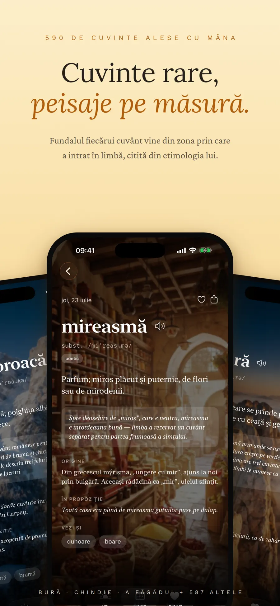 Cuvântul Zilei screenshot 6
