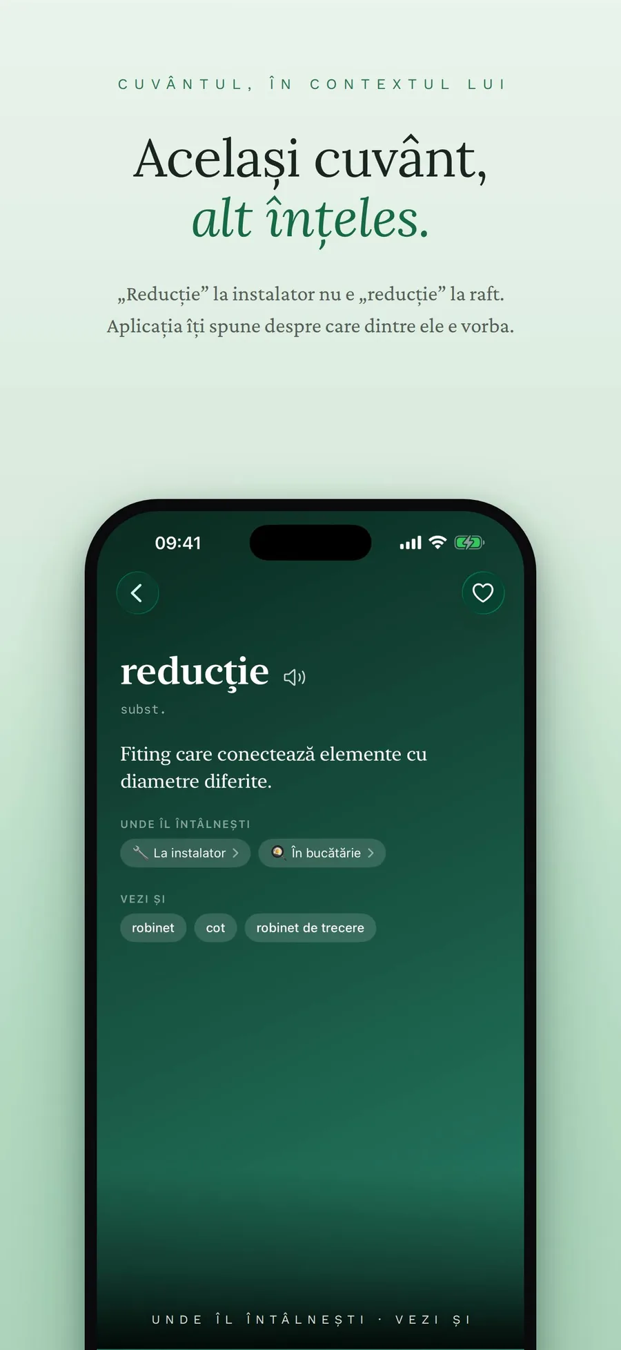 Cuvinte utile screenshot 4